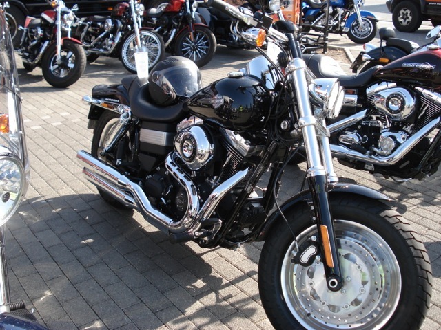 Harley_on_Tour_30.JPG