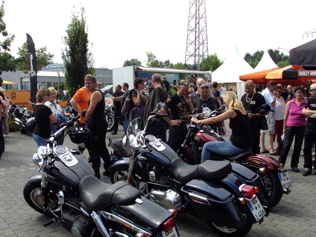 Harley_on_Tour_57.JPG -                                