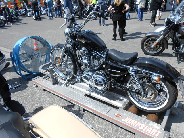 Harley on Tour 4.jpg -           