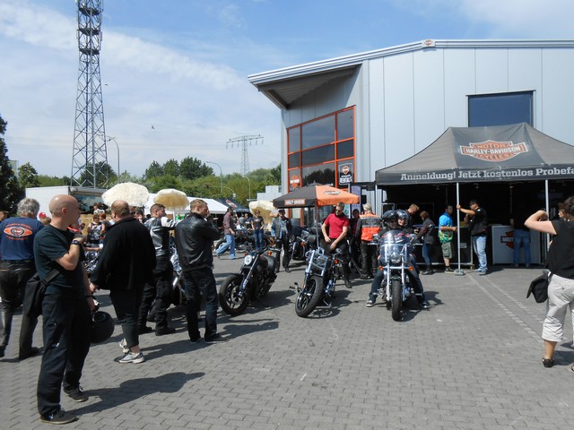 Harley on Tour 6.jpg -           