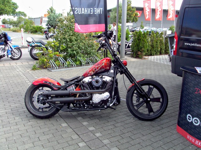 Harley on Tour 11.jpg -                                