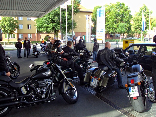 Harley on Tour 14.jpg -                                