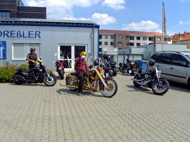 Harley on Tour 8.jpg -                                