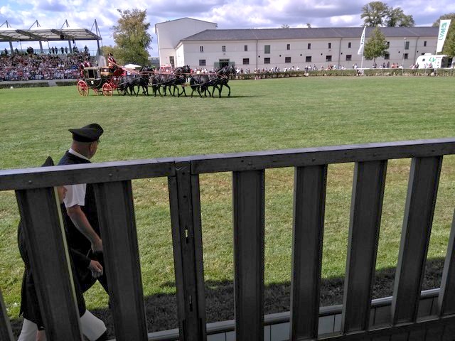 Hegstparade Neustadt(Dosse) 08.09.18_24.jpg